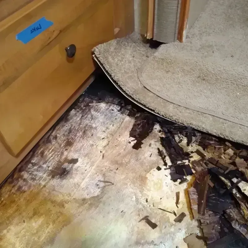 Wood Floor Water Damage in Winston-Salem, NC